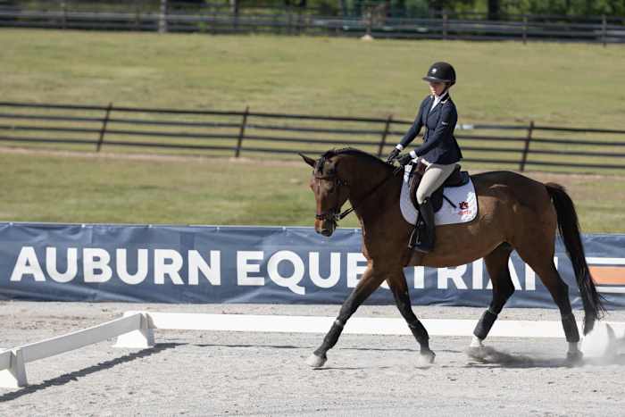 Lauren McCaulley of Auburn Equestrian
